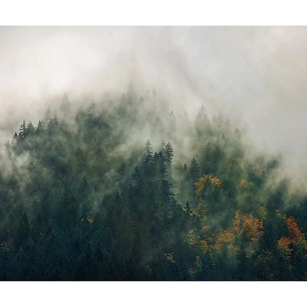 Komar Fototapete Vlies Tales of the Carpathians  300 x 250 cm günstig online kaufen