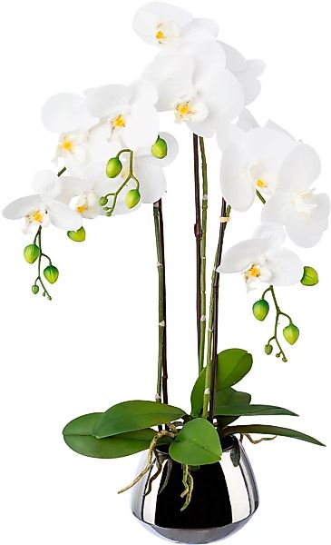Creativ green Kunstorchidee "Phalaenopsis im Silbertopf" günstig online kaufen