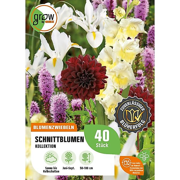 GROW by OBI Schnittblumen-Kollektion Höhe ca. 50 cm - 100 cm günstig online kaufen