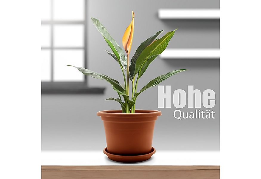 BigDean Blumentopf 8 Stück Pflanzkübel mit Untersetzer rund ø 20 cm Terraco günstig online kaufen