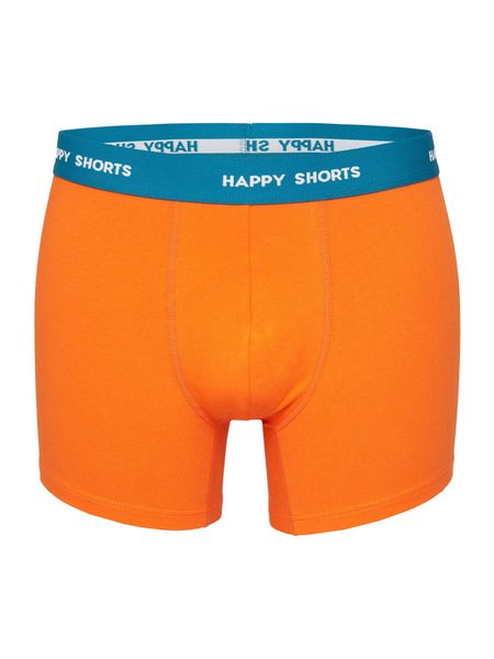 HAPPY SHORTS Retro Pants Jersey (2-St) günstig online kaufen