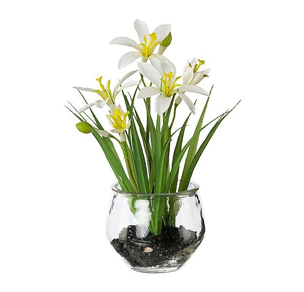 Kunstblume Kunstblume KROKUS im GLAS. Ca 21cm. Krokusse im runden Glas. WEI günstig online kaufen