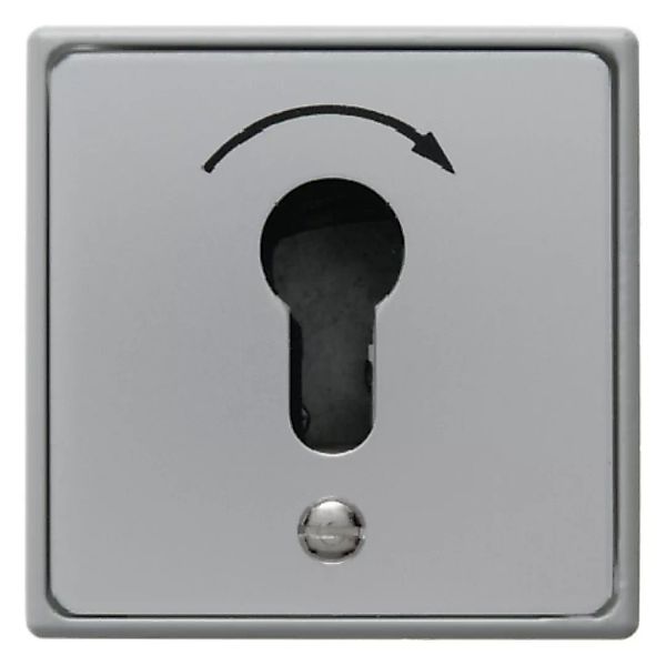 Berker Schlüsselschalter 1p. UP UP-SCHLUESSEL- 4450 günstig online kaufen
