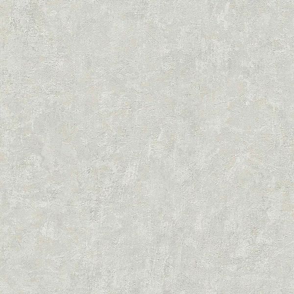 A.S. Création Vliestapete Natural Living Putzoptik, günstig online kaufen
