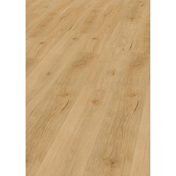 Check Click-Vinylboden Comfort Frontera Eiche günstig online kaufen