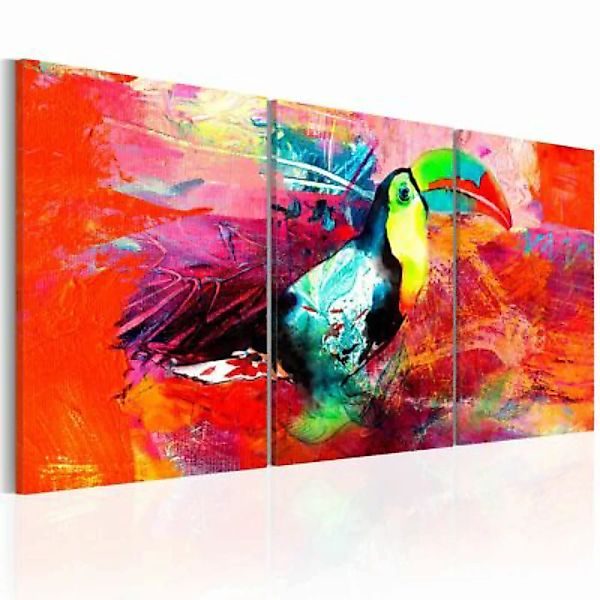 artgeist Wandbild Colourful Toucan rot/orange Gr. 60 x 30 günstig online kaufen