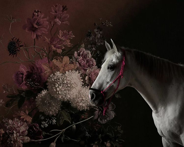 Fototapete "horses 1" 4,00x2,70 m / Strukturvlies Klassik günstig online kaufen