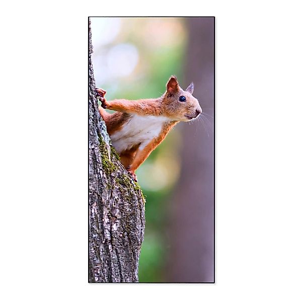 Banjado Magnettafel 37x78cm Magnetwand  Schwarz Aus Metall Magnetpinnwand P günstig online kaufen