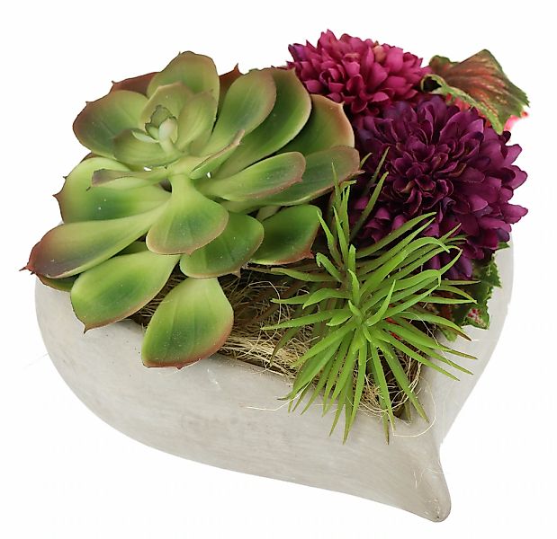 Kunstblume Succulenten/Zierkohl, I.GE.A., Höhe 16 cm, im herzförmigen Topf günstig online kaufen