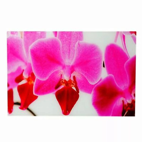 HWC Mendler Glasbild, 40x60cm Orchidee mehrfarbig günstig online kaufen