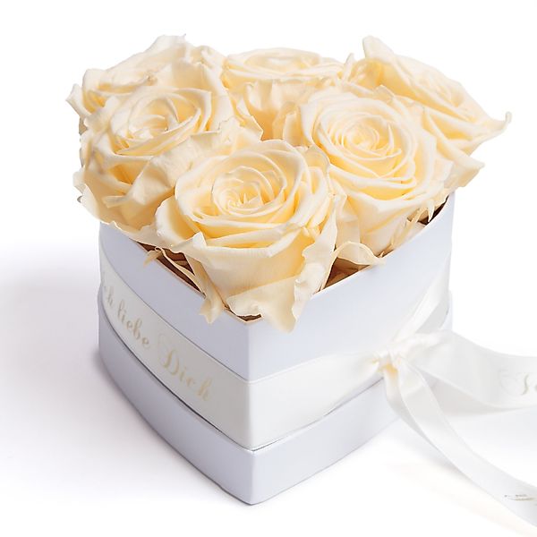 Kunstblume Infinity Rosenbox Herz 6 ewige günstig online kaufen