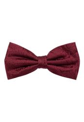 Eterna Fliege günstig online kaufen