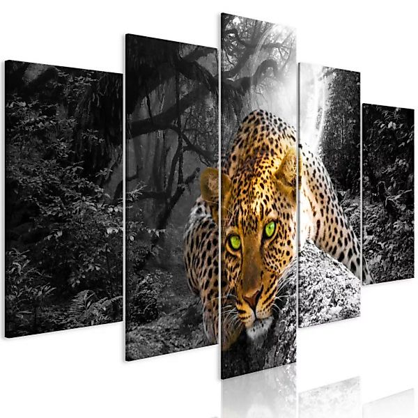 Leinwandbild Leopard Lying (5 Parts) Wide Grey XXL günstig online kaufen