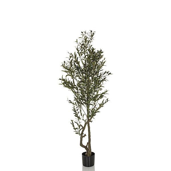 Kunstpflanze Kunstpflanze OLIVE I Kunststoff Olive, günstig online kaufen