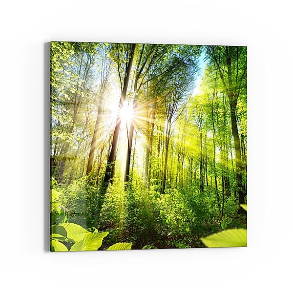 DEQORI Glasbild 'Licht durchdringt Bäume', 'Licht günstig online kaufen