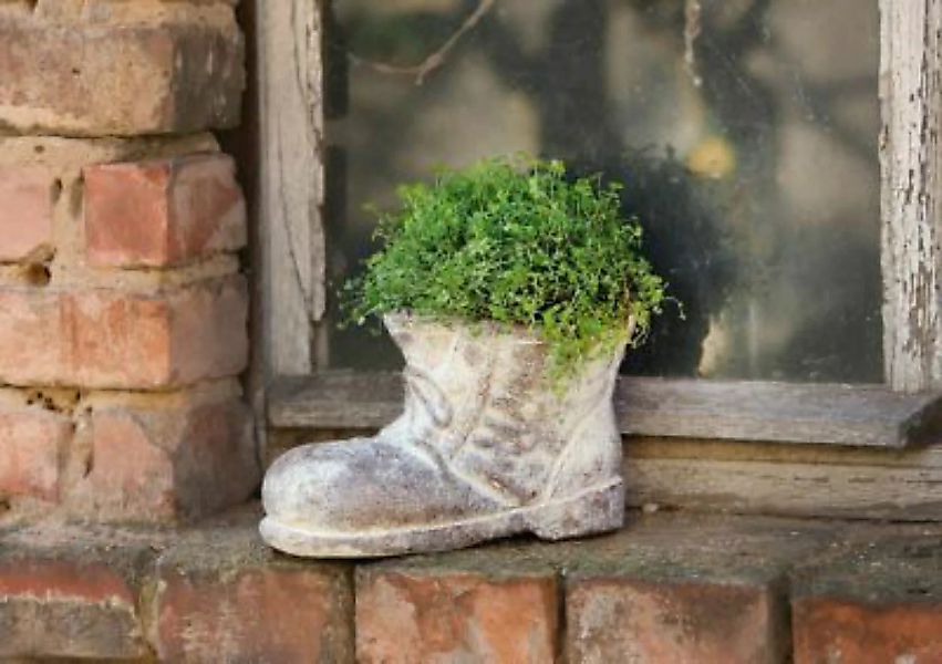 HOME Living Pflanzer Alter Stiefel Blumentöpfe bunt günstig online kaufen