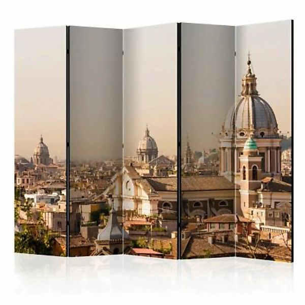 artgeist Paravent Rome - bird's eye view II [Room Dividers] braun Gr. 225 x günstig online kaufen