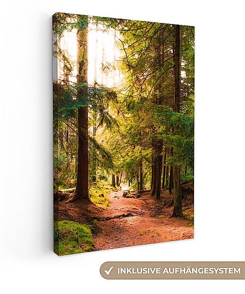 OneMillionCanvasses® Leinwandbild Wald - Weg - Bäume - Grün - Sonne - Natur günstig online kaufen