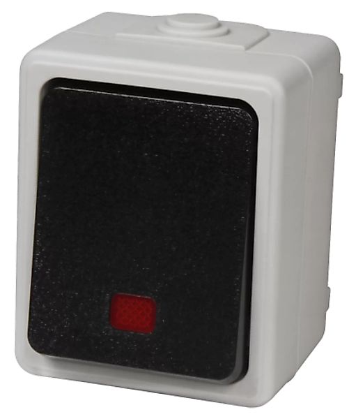 Kontroll-Schalter Feuchtraum IP44 Grau "Taff" günstig online kaufen