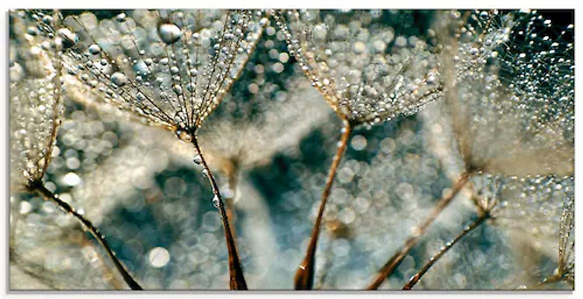 Artland Glasbild »Pusteblume Regenschauer« 1 Stk. tlg. in verschiedenen Grö günstig online kaufen