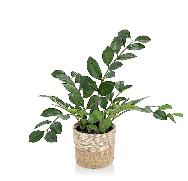 Kunstpflanze Kunstpflanze ZAMIE Kunststoff, Stoff Zamioculcas Zamiifolia, h günstig online kaufen