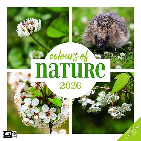 Colours of Nature Kalender 2026 - 30x30 günstig online kaufen