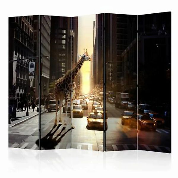 artgeist Paravent Giraffe in the Big City II [Room Dividers] grau-kombi Gr. günstig online kaufen