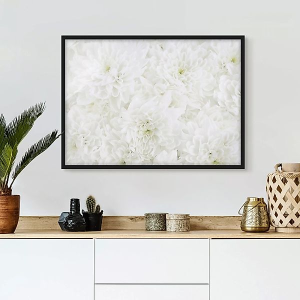 Bild mit Rahmen Blumen - Querformat Dahlien Blumenmeer weiß günstig online kaufen