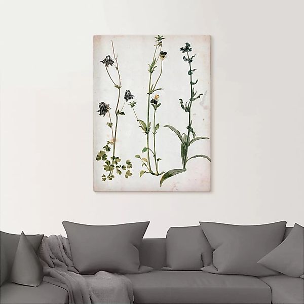 Artland Wandbild "Akelei, Stiefmütterchen und Ochsenzunge", Blumenbilder, ( günstig online kaufen