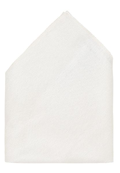 Eterna Fliege günstig online kaufen