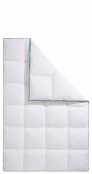 fjödur Daunenbettdecke "Fee" extrawarm Füllung 80Daunen20Federn 1 Stk. tlg. günstig online kaufen