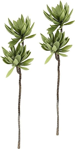Kunstpflanze Sukkulentenzweig, I.GE.A., Höhe 62 cm, 2er Set günstig online kaufen