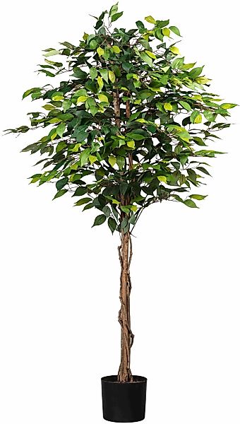 Kunstpflanze Ficus Benjamini, Creativ green, Höhe 180 cm günstig online kaufen