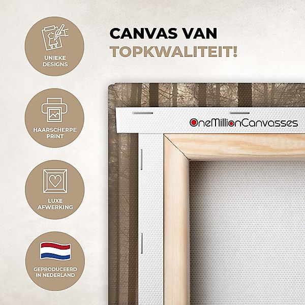 OneMillionCanvasses® Leinwandbild Wald - Nebel - günstig online kaufen