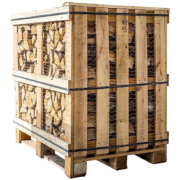 holz4home Brennholz Birke Kammergetrocknet 25CM 1RM günstig online kaufen