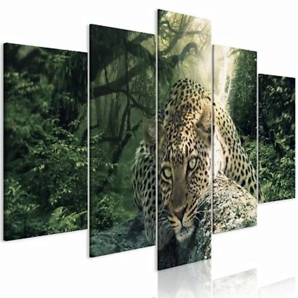 artgeist Wandbild Leopard Lying (5 Parts) Wide Pale Green mehrfarbig Gr. 20 günstig online kaufen