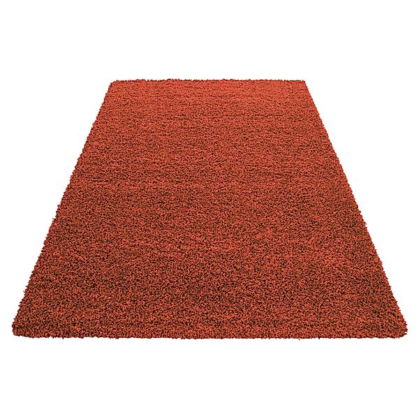 Stilvoll Günstig Hochflor-Teppich Teppich für den günstig online kaufen