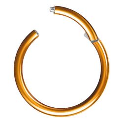 Taffstyle Nasenpiercing Segmentring Piercing Titan G23 günstig online kaufen