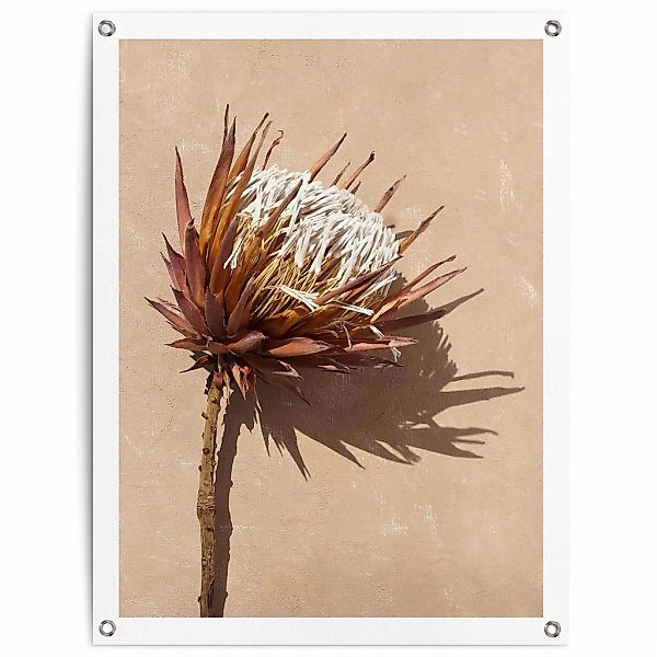 Reinders Poster "Schattenblume" günstig online kaufen