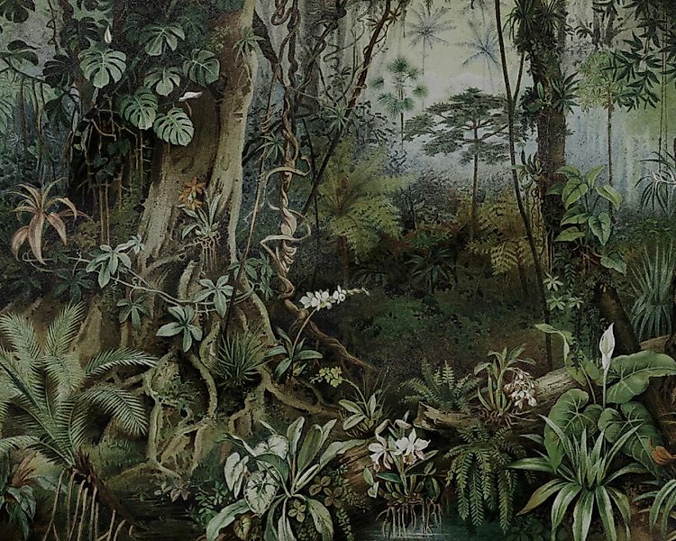 Fototapete "Jungle 2" 4,00x2,70 m / Glattvlies Perlmutt günstig online kaufen