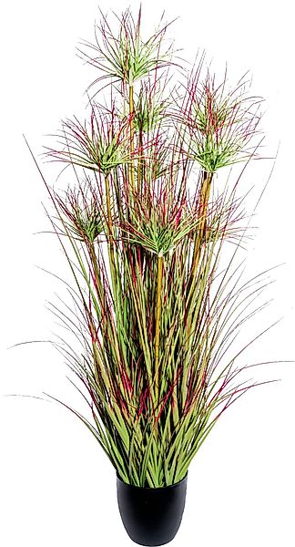 Kunstgras Cyperngrasbusch Gras, Creativ green, Höhe günstig online kaufen