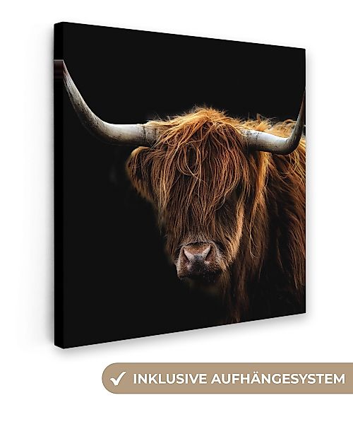 OneMillionCanvasses® Leinwandbild Schottischer Highlander - Hörner günstig online kaufen