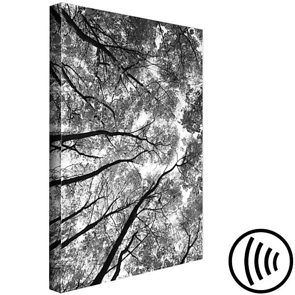 Wandbild Baumkronen - Schwarzweiß-Foto auf Wald, Bäume und Himmel XXL günstig online kaufen