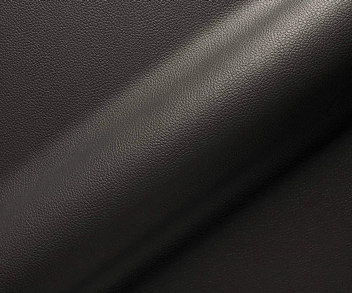 Freischwinger Heira-Flex mit Armlehnen Echt-Leder Schwarz Freischwinger fla günstig online kaufen