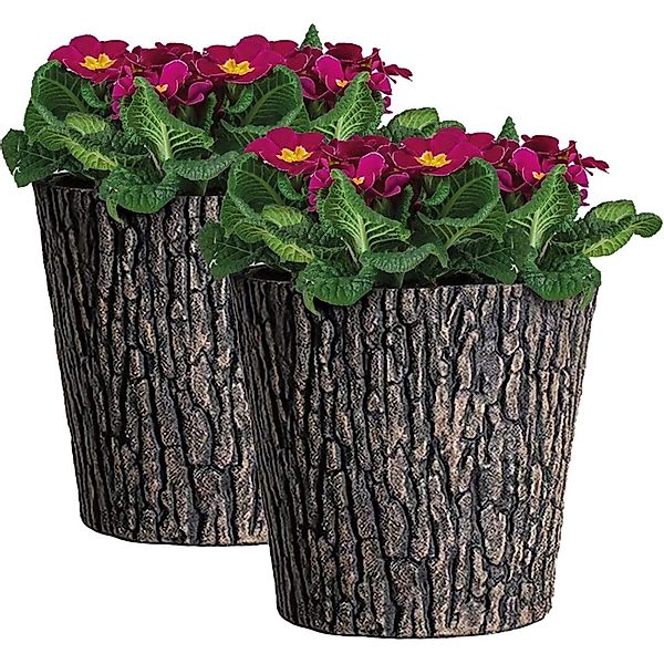PROREGAL SuperSparSet 2x Blumentopf Holzoptik Ø 30cm Pflanzkübel Braun mit günstig online kaufen