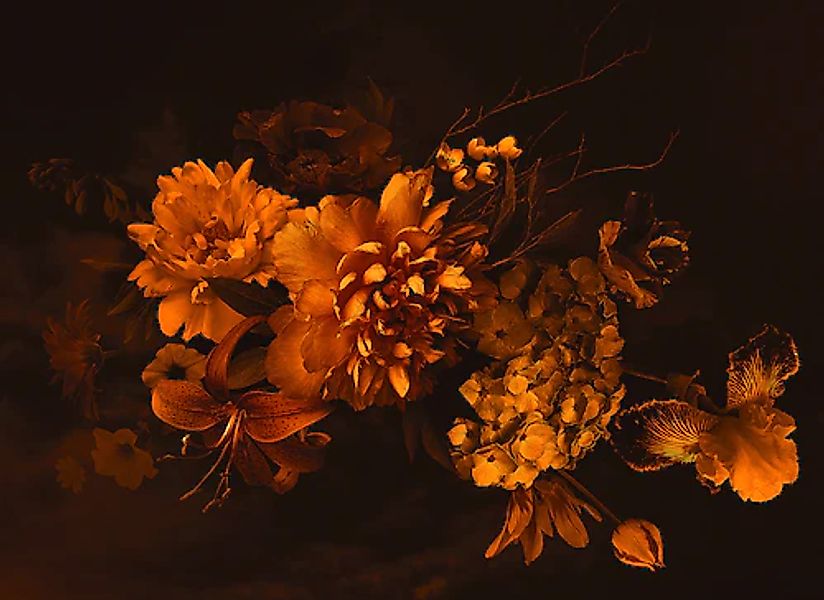 living walls Fototapete »Designwalls Blossom Variety 2« glatt Vlies, Wand, günstig online kaufen