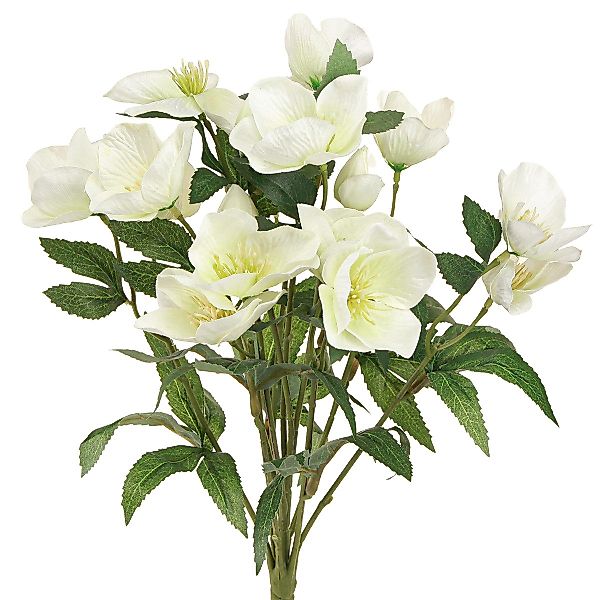 Winterliche Kunstpflanze Künstlicher Christrosenstrauß 39cm Creme günstig online kaufen