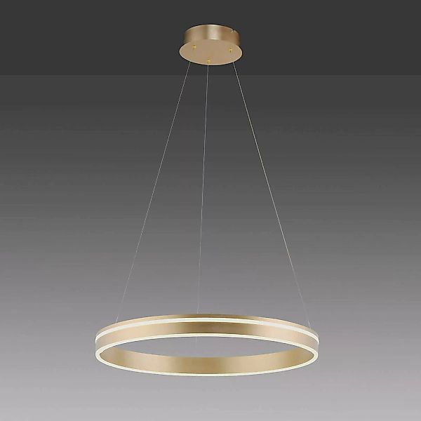 Paul Neuhaus Q-VITO LED-Pendelleuchte,1 Ring günstig online kaufen