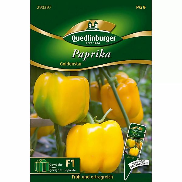Quedlinburger Block-Paprika Goldenstar Loses Saatgut günstig online kaufen