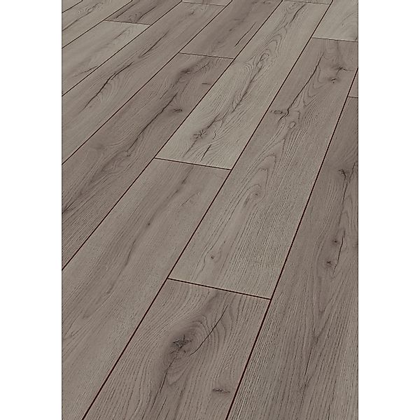 Jangal Laminatboden Oak National Park Line Plus Grey günstig online kaufen